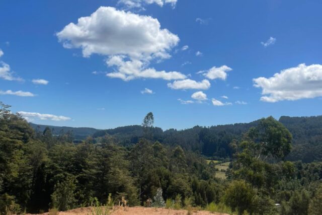 Parcelas Casa Blanca Valdivia